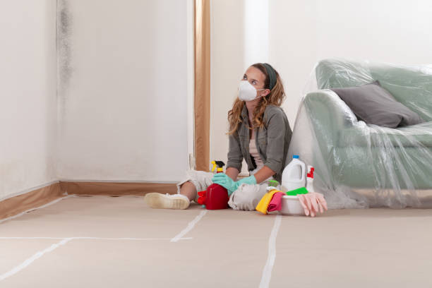 Trusted Mold Inspection service in Woodbury, NJ - WQB Mold Removal