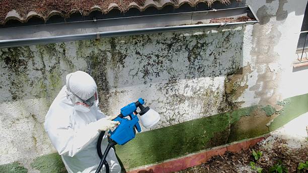 Top rated local Mold Inspection specialists in Woodbury, NJ